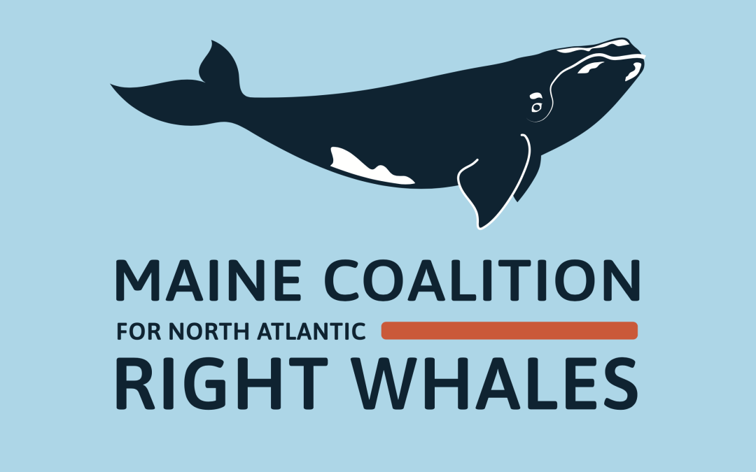 Maine Coalition for North Atlantic Right Whales